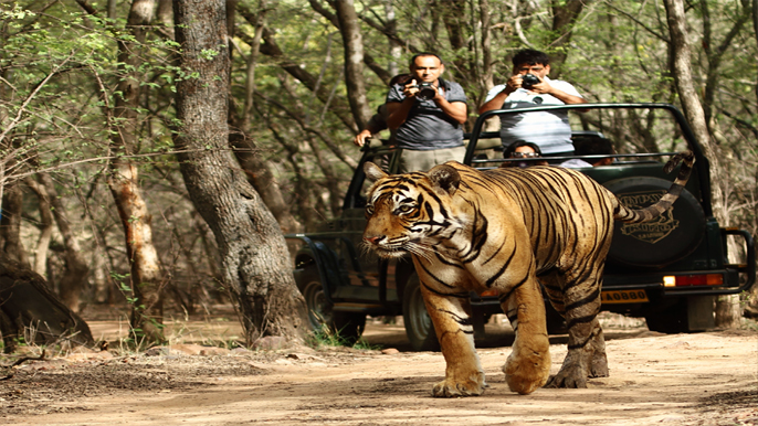 Delhi Agra Jaipur Tour